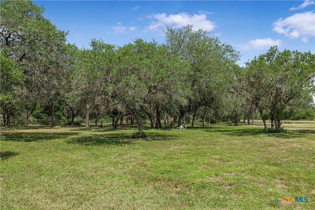 788 Goliad