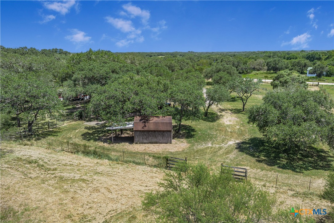 788 Goliad