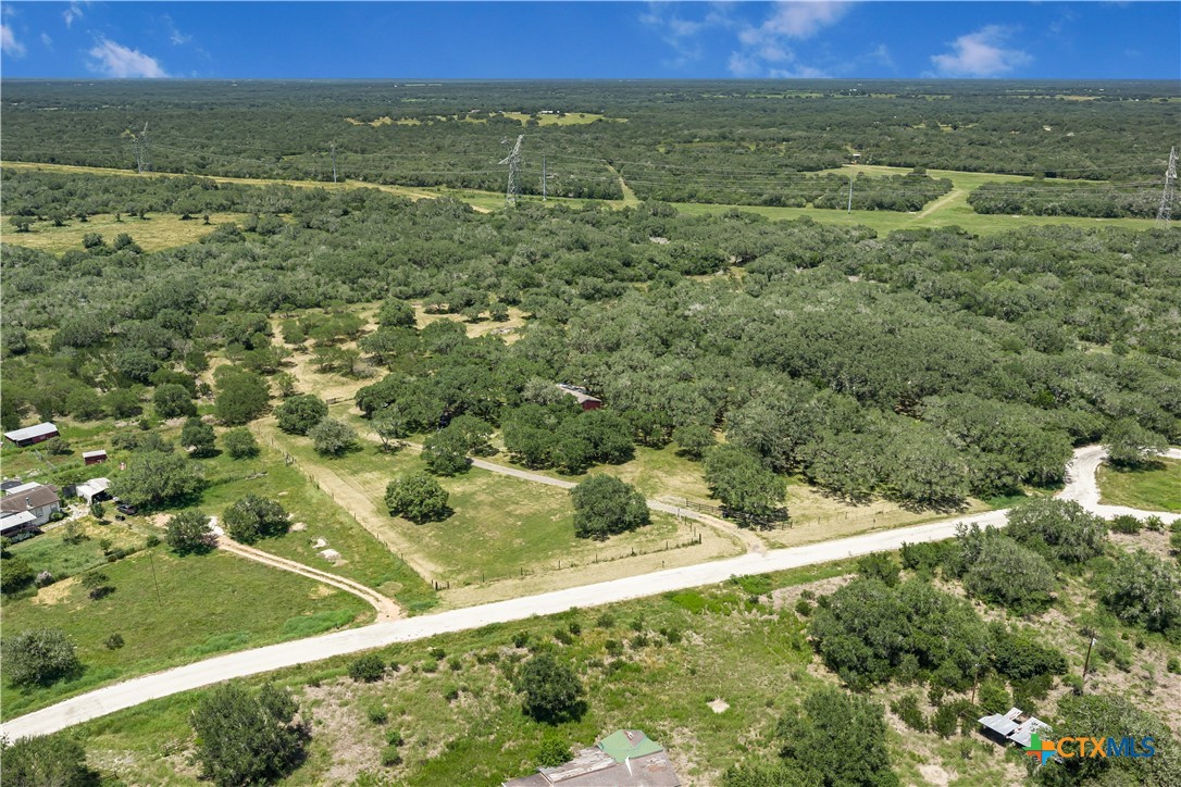 788 Goliad