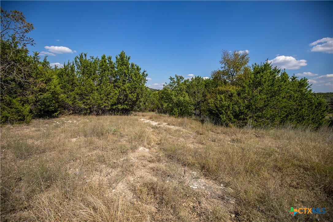 0 Wilson Branch Road