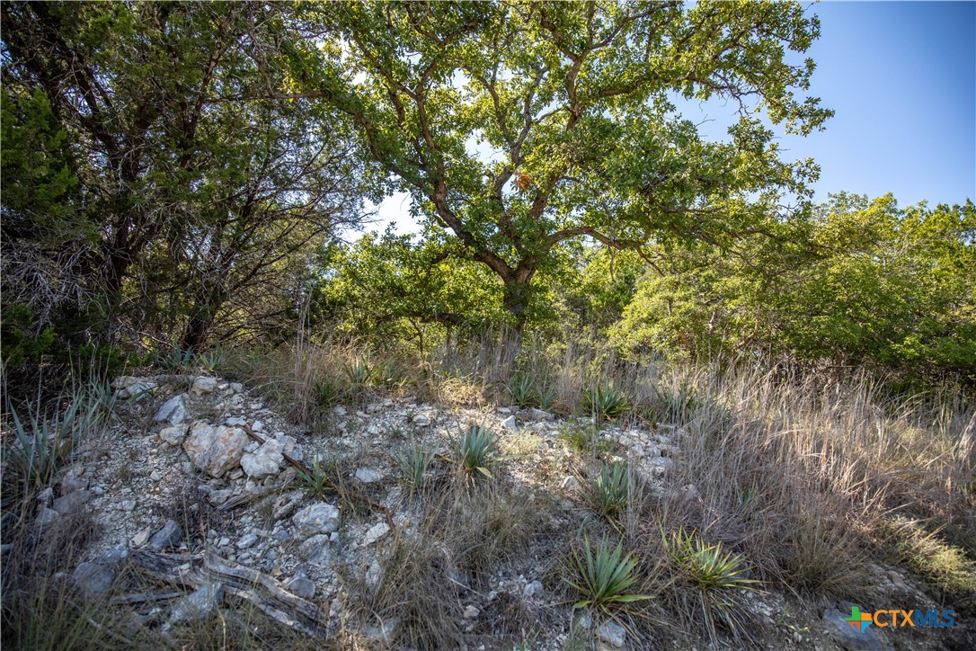 0 Wilson Branch Road