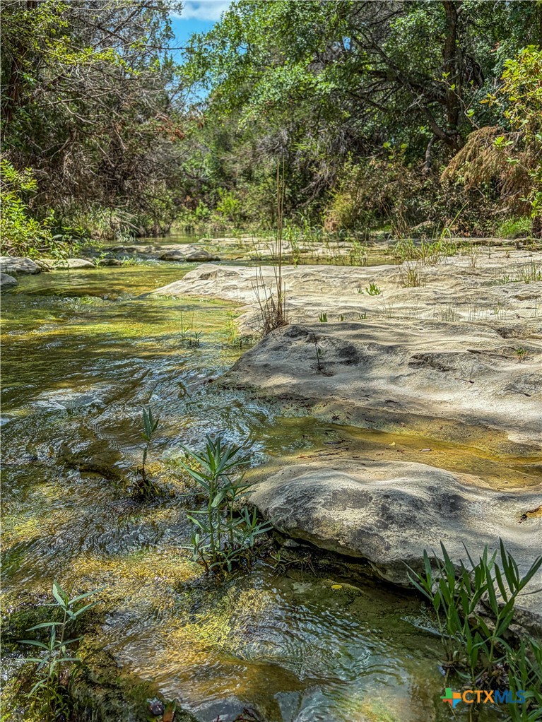 0 Wilson Branch Road
