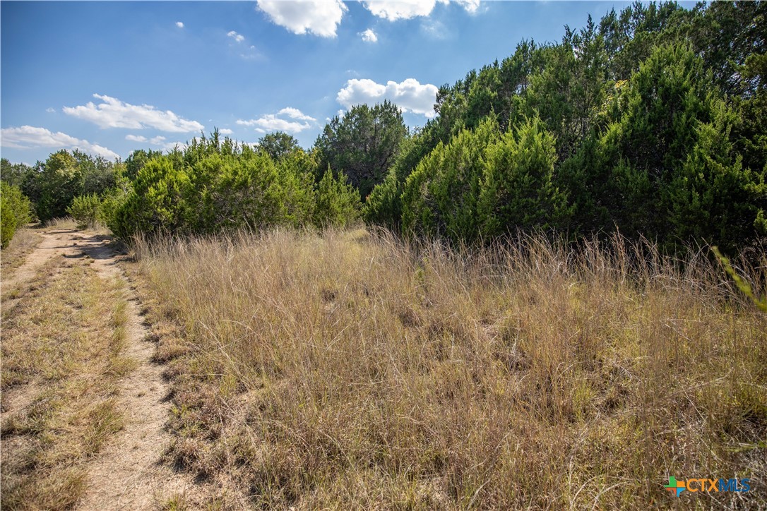 0 Wilson Branch Road
