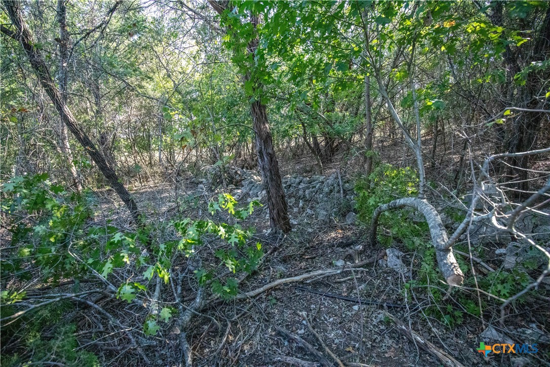 0 Wilson Branch Road