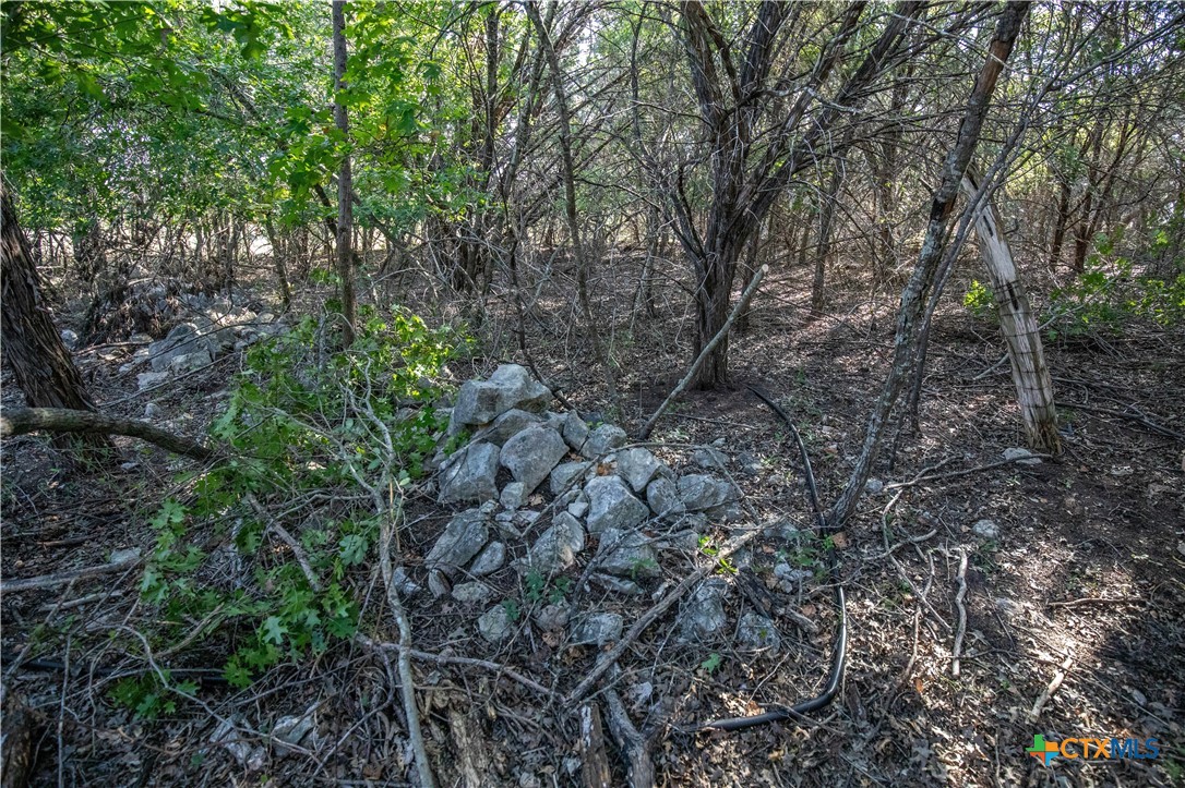 0 Wilson Branch Road