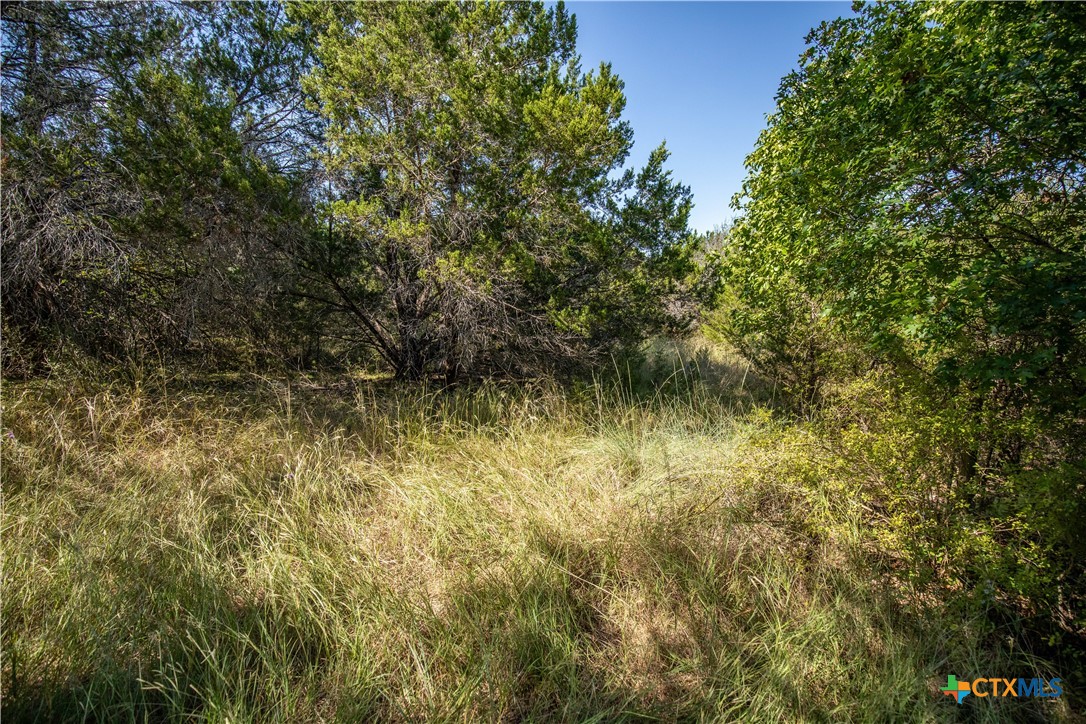 0 Wilson Branch Road