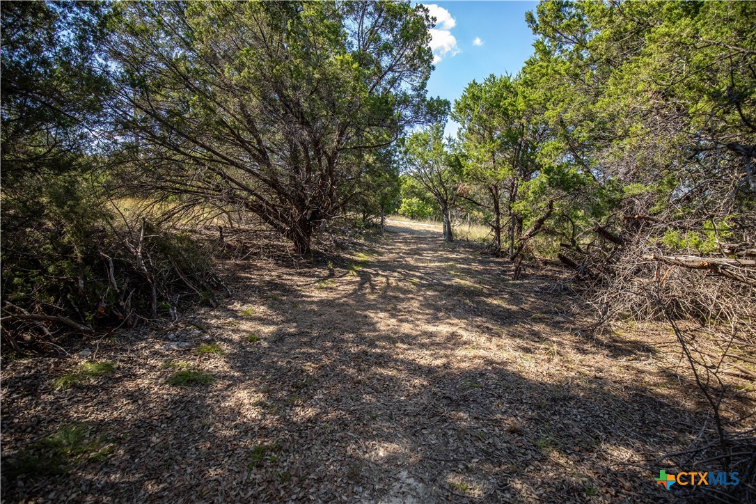 0 Wilson Branch Road