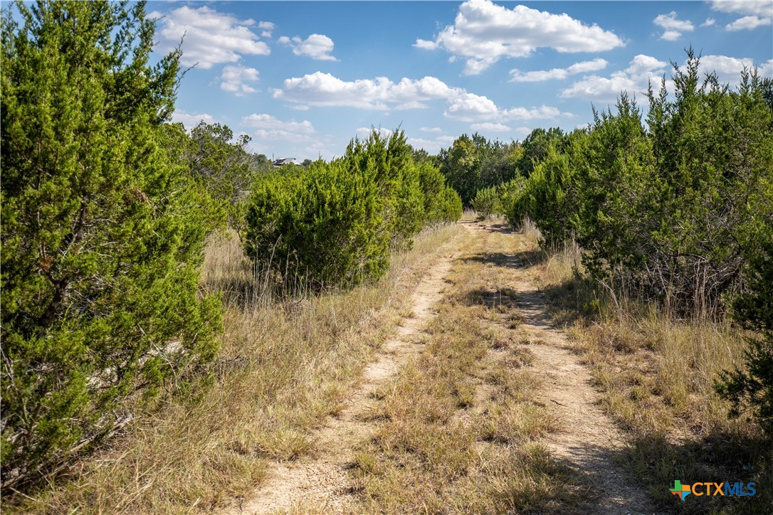 0 Wilson Branch Road