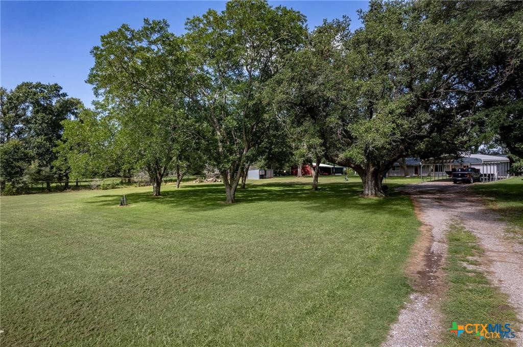 4291 County Road 429