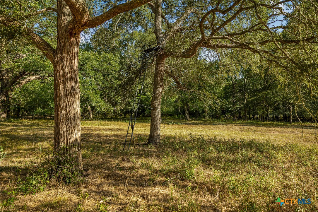 856 Whitley Road