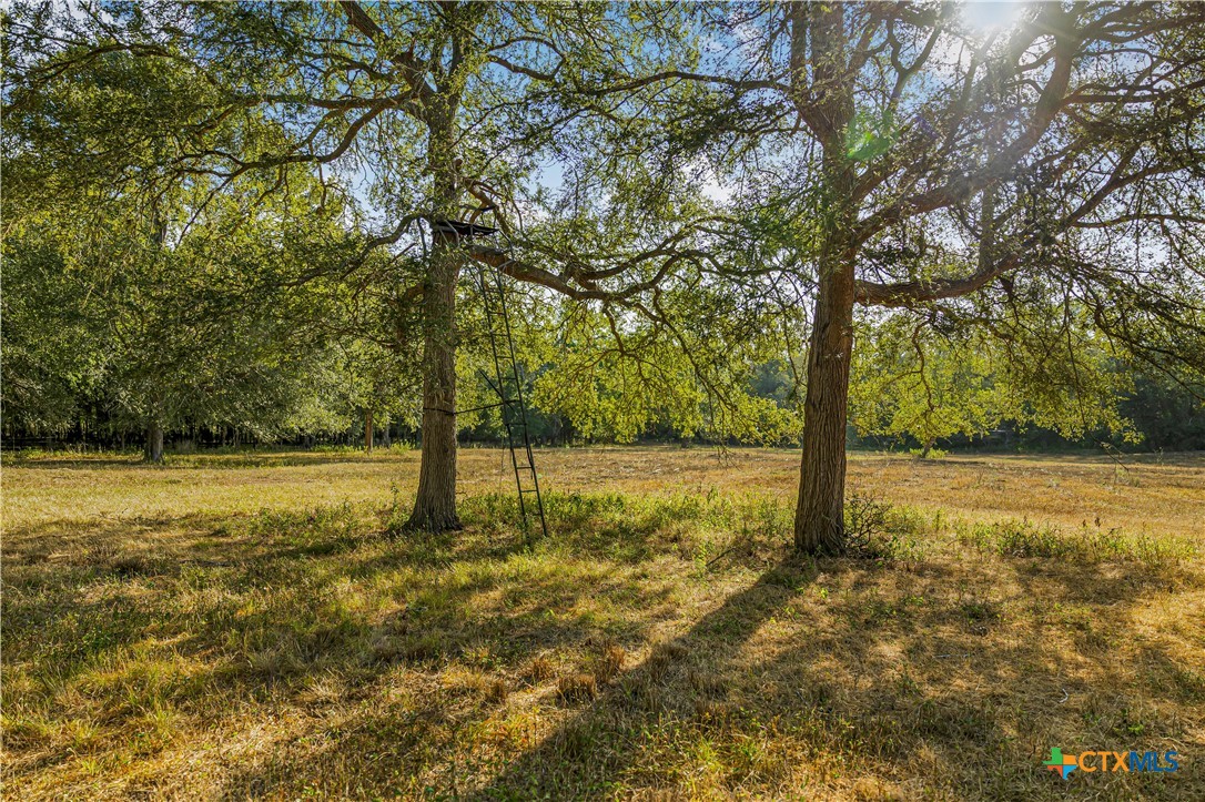 856 Whitley Road