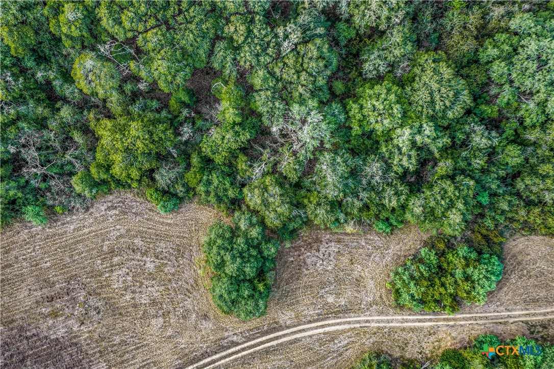 856 Whitley Road