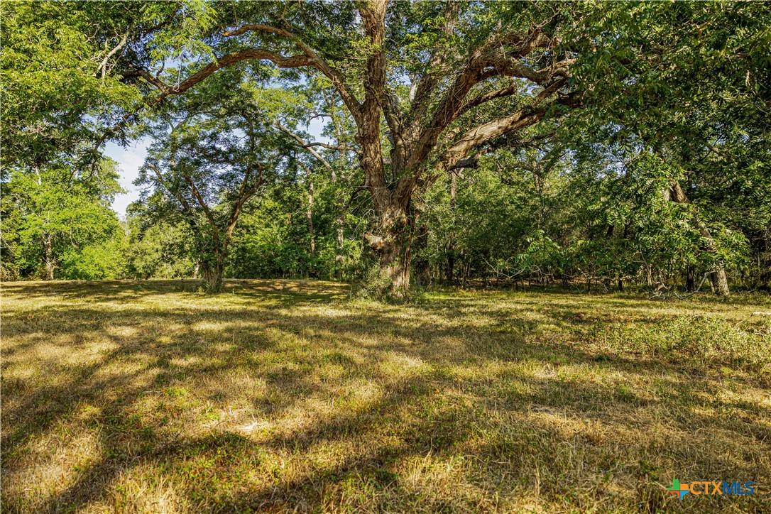 856 Whitley Road