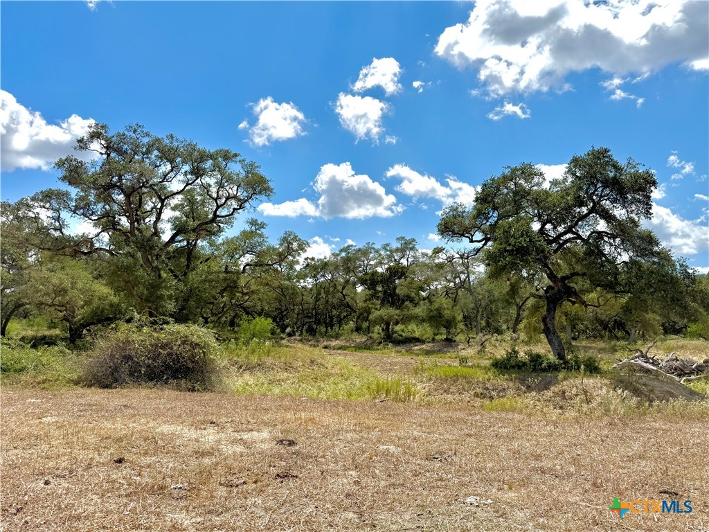 4668 Old Hwy Rd