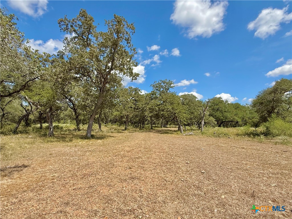 4668 Old Hwy Rd