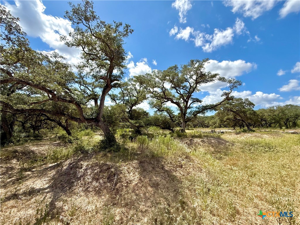 4668 Old Hwy Rd
