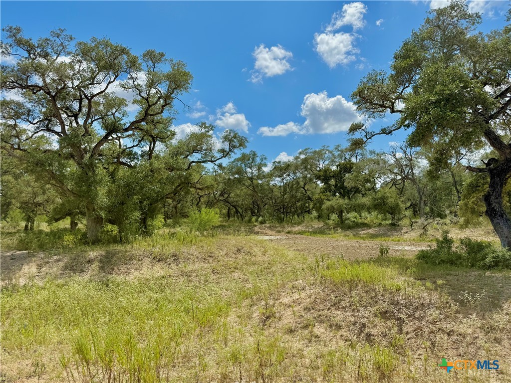 4668 Old Hwy Rd