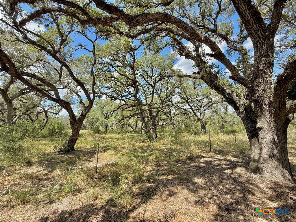 4668 Old Hwy Rd