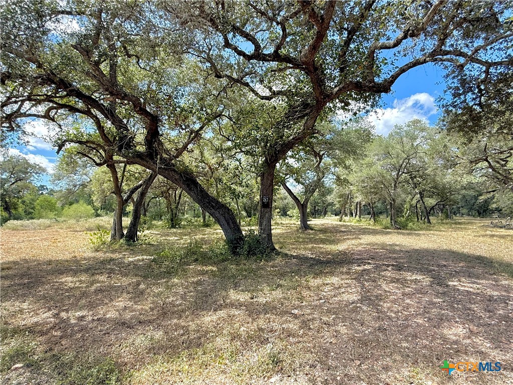 4668 Old Hwy Rd