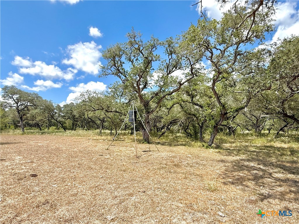 4668 Old Hwy Rd