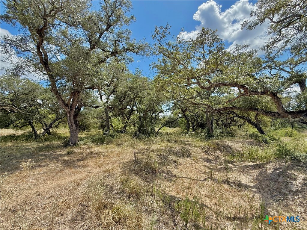 4668 Old Hwy Rd