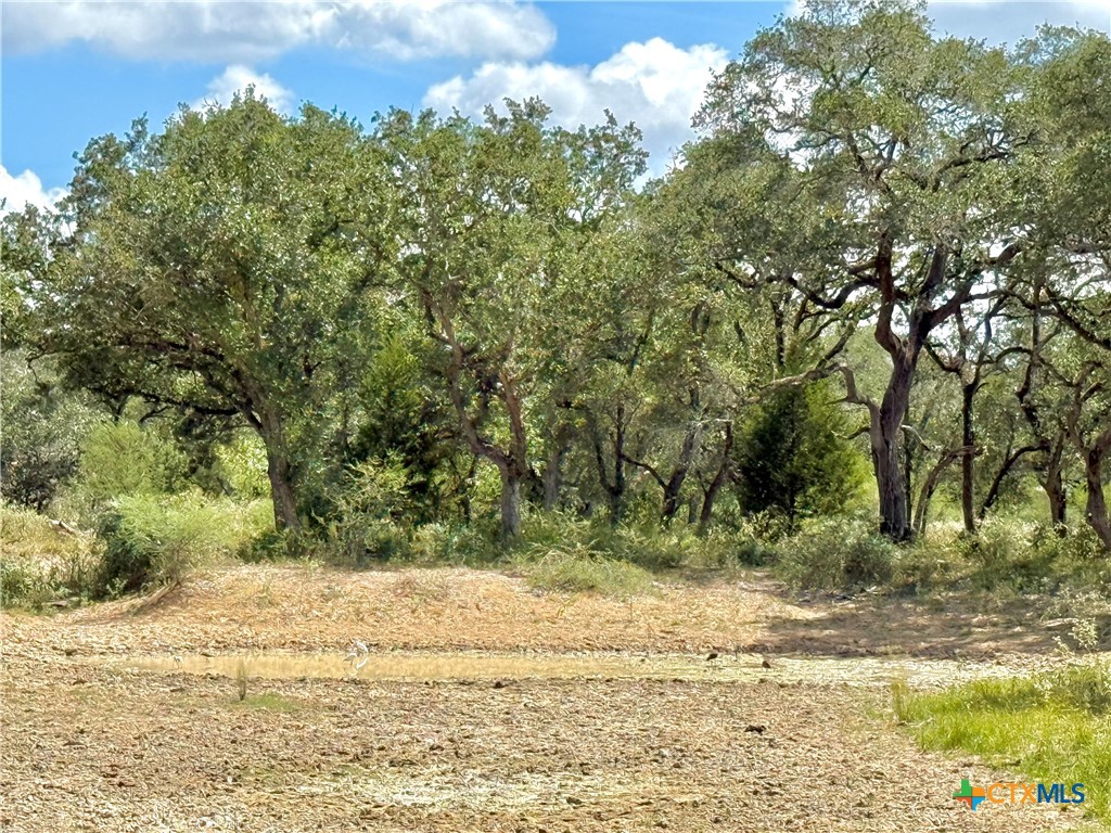 4668 Old Hwy Rd