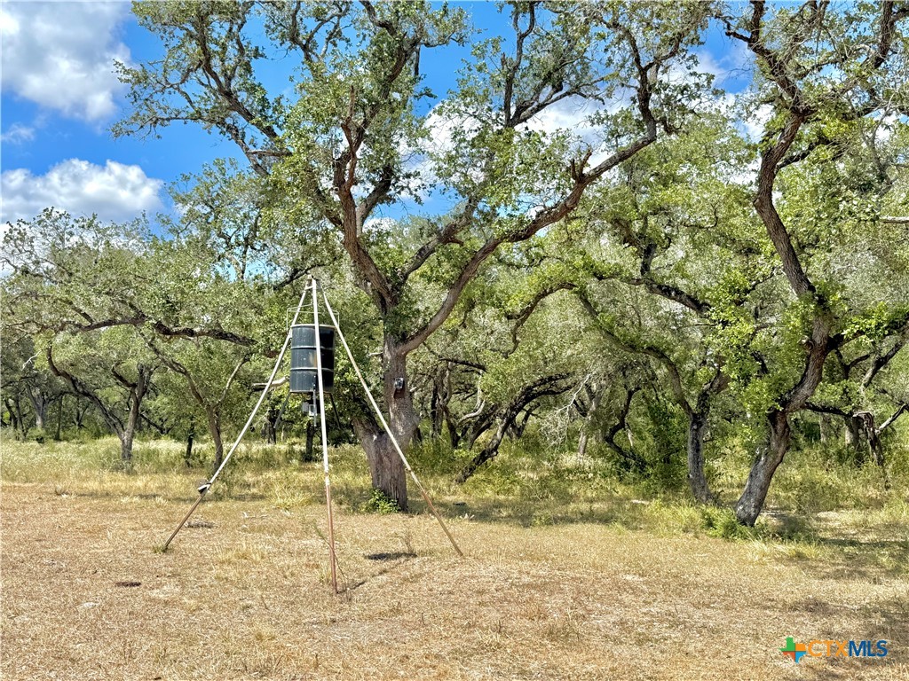 4668 Old Hwy Rd