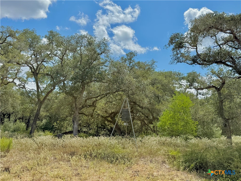 4668 Old Hwy Rd