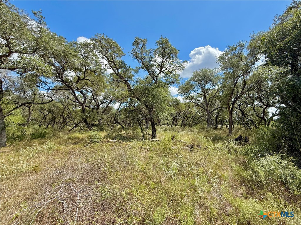 4668 Old Hwy Rd