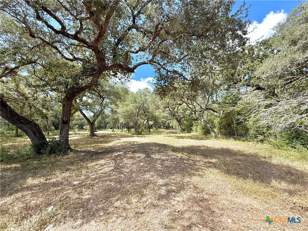 4668 Old Hwy Rd