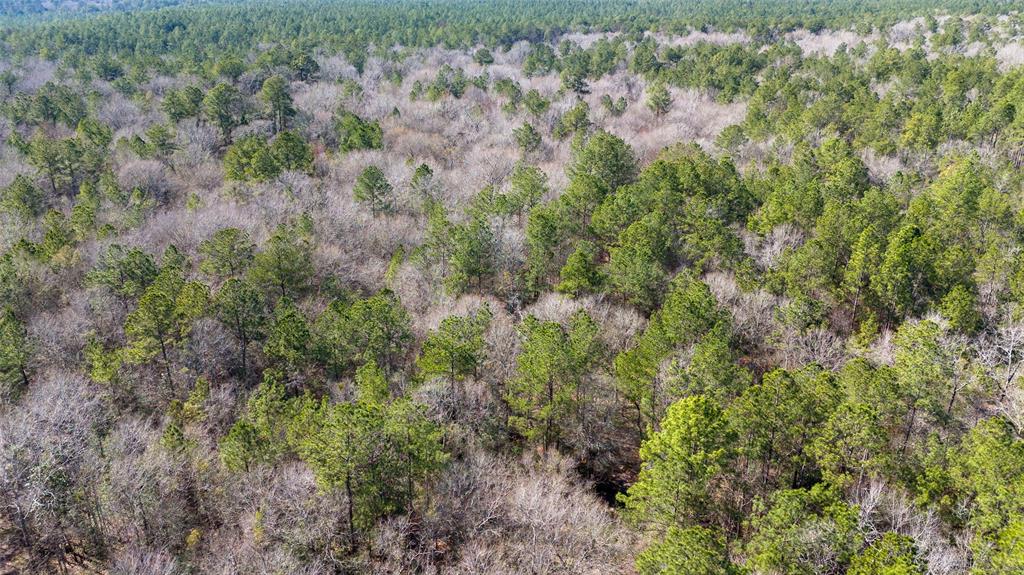 0 Whispering Pines Drive