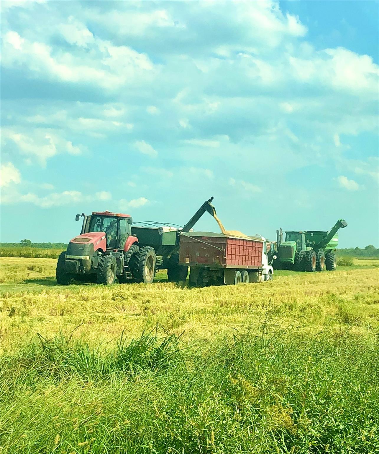 TBD Hwy 65 And Fm 1724