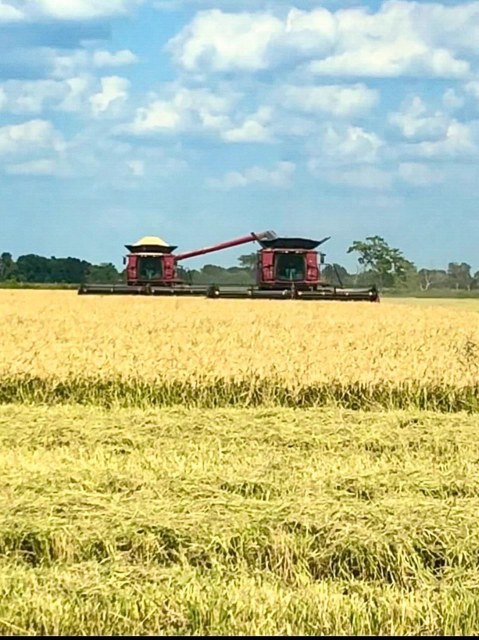 TBD Hwy 65 And Fm 1724