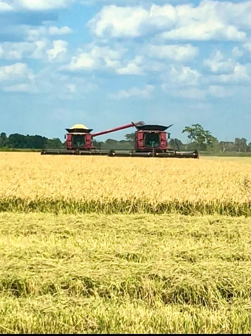 TBD Hwy 65 And Fm 1724