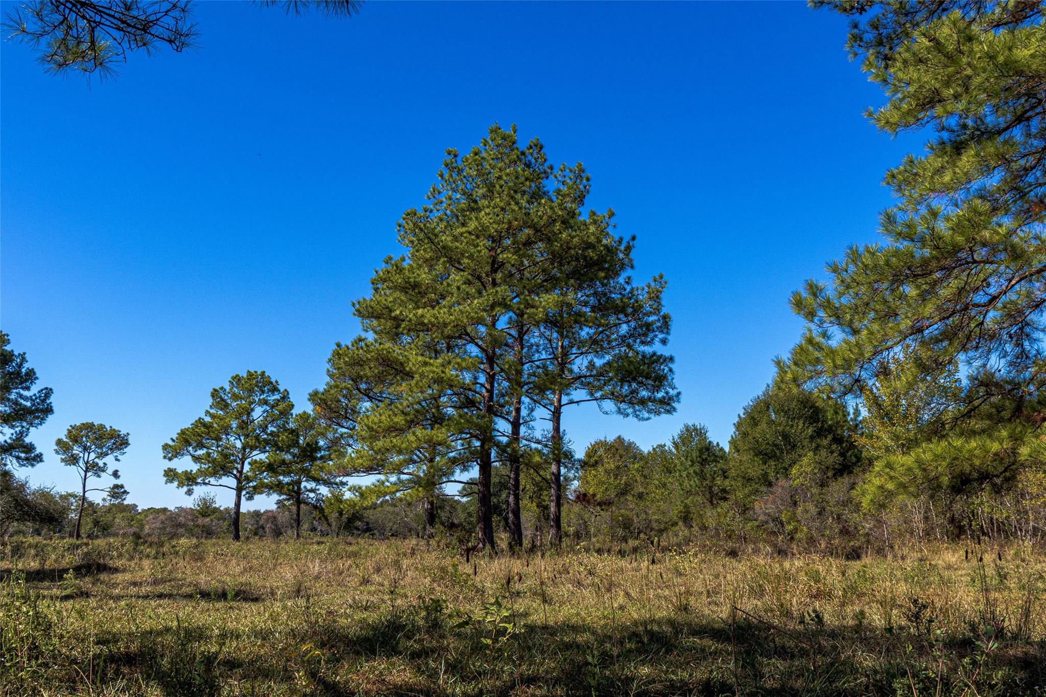TBD Gentry Road