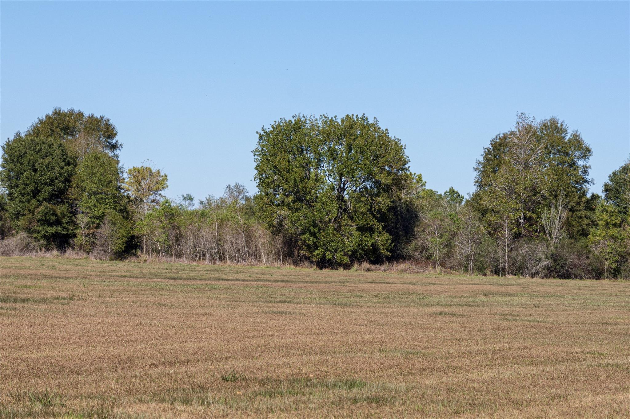 TBD Gentry Road