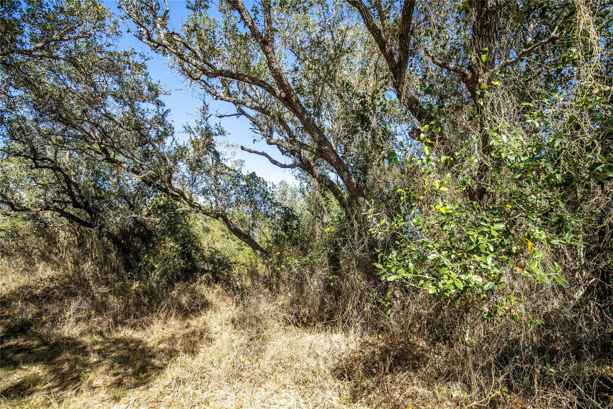 6498 N Hwy 35