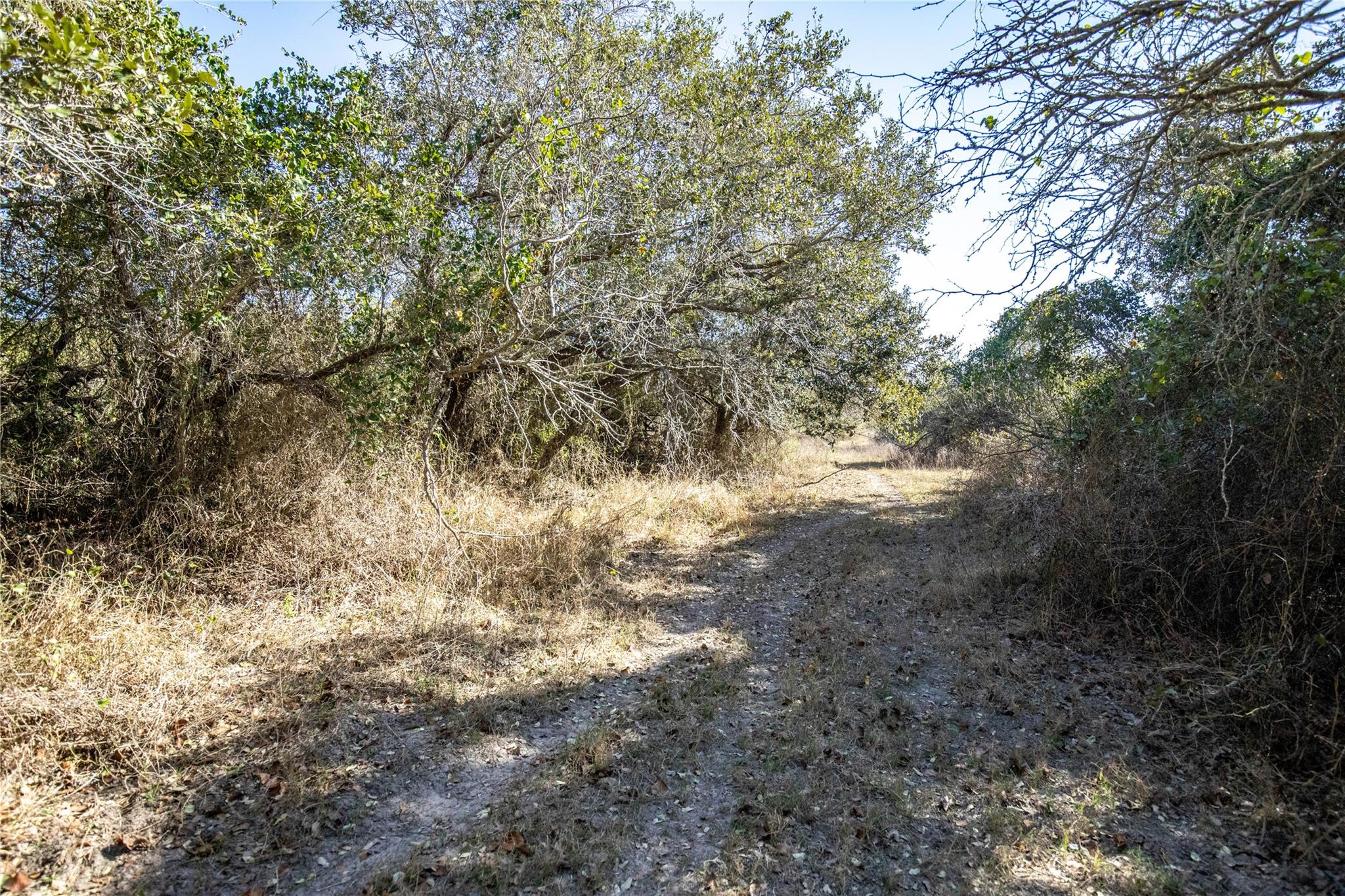 6498 N Hwy 35