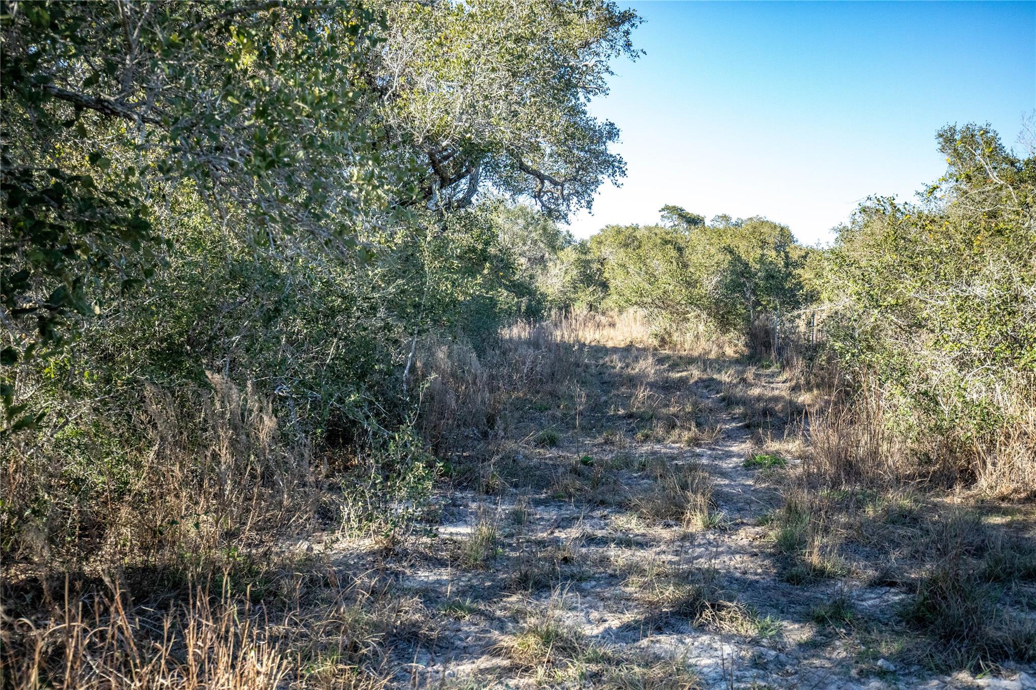 6498 N Hwy 35