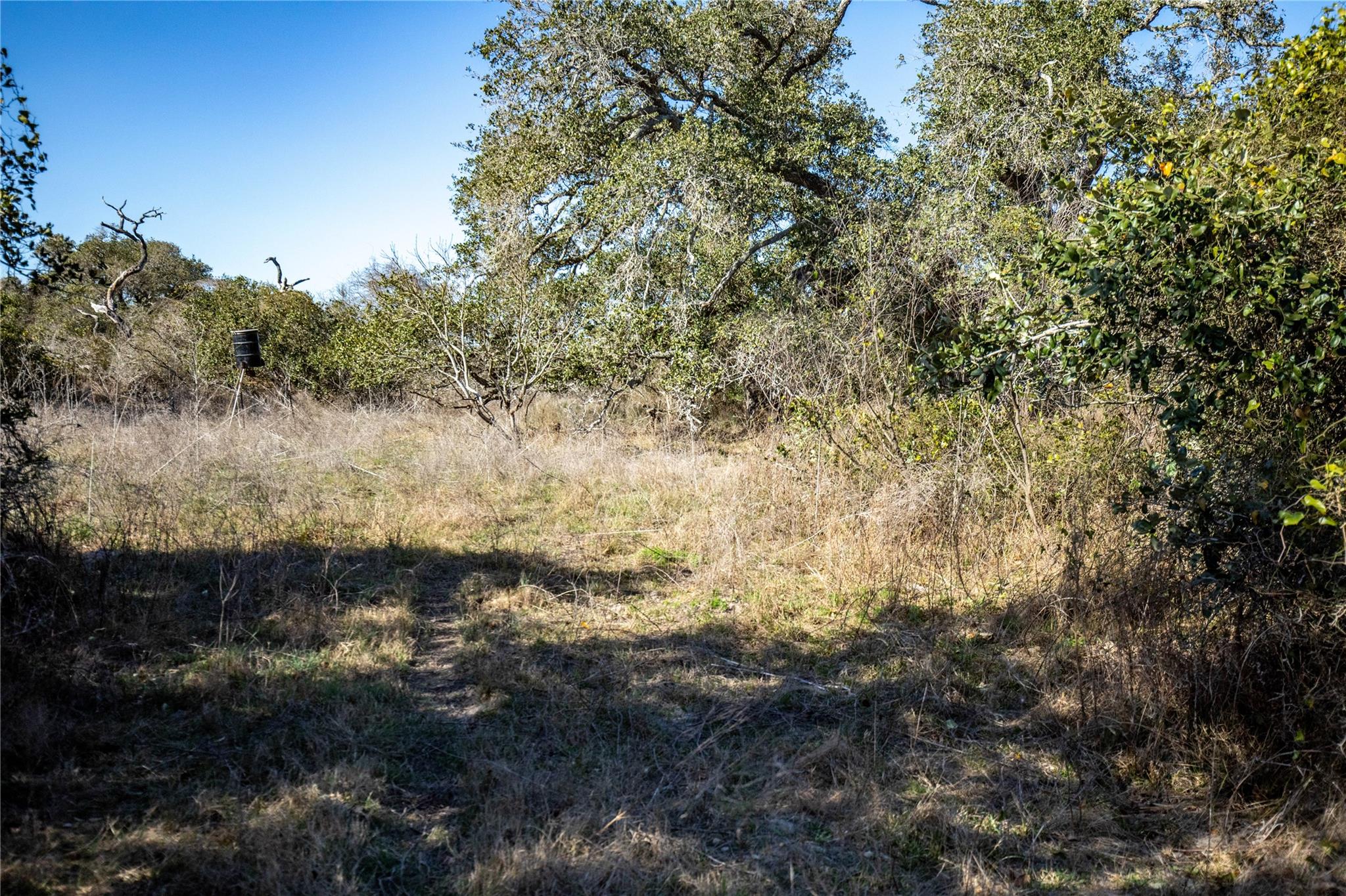 6498 N Hwy 35