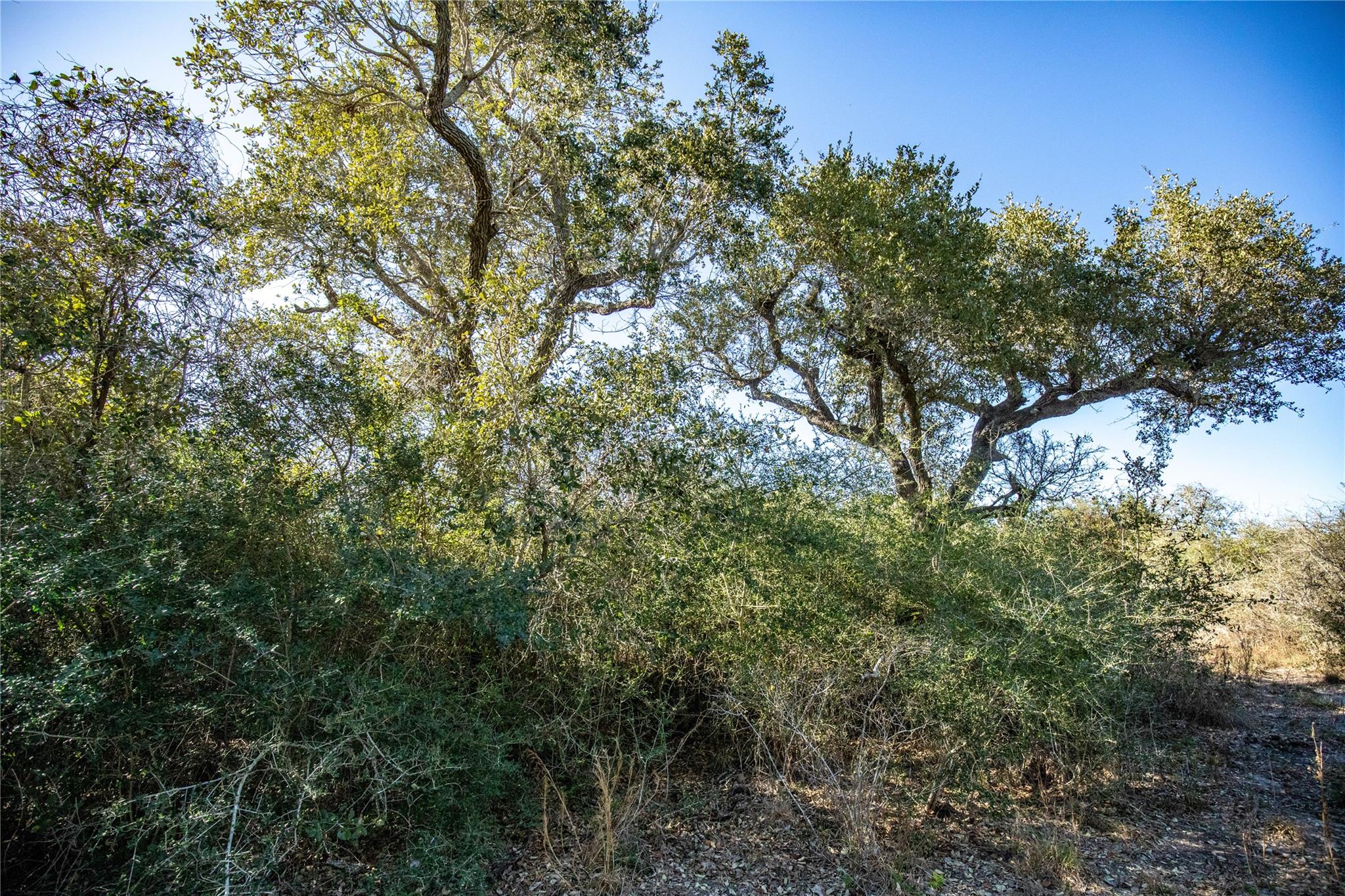 6498 N Hwy 35