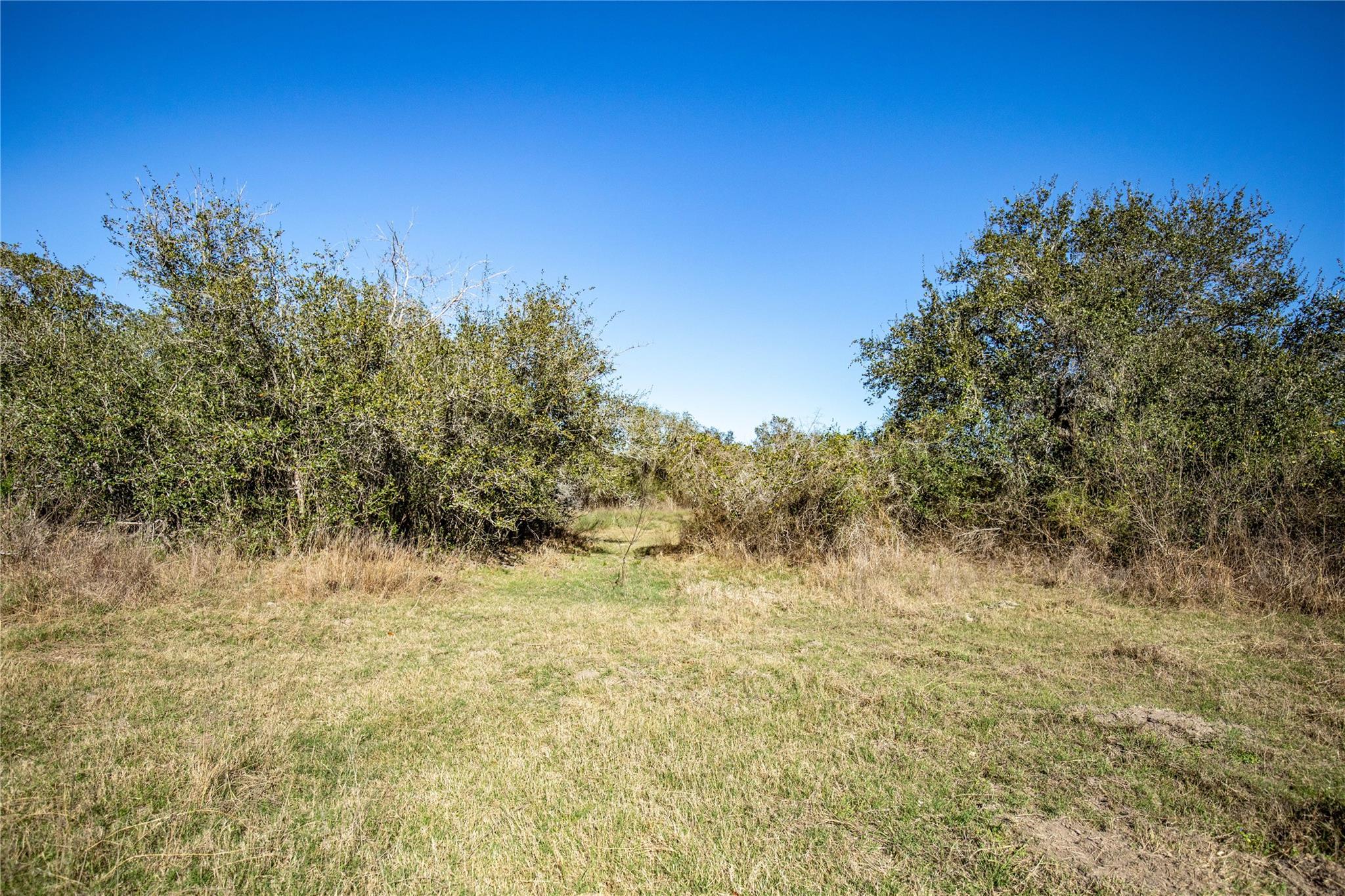6498 N Hwy 35