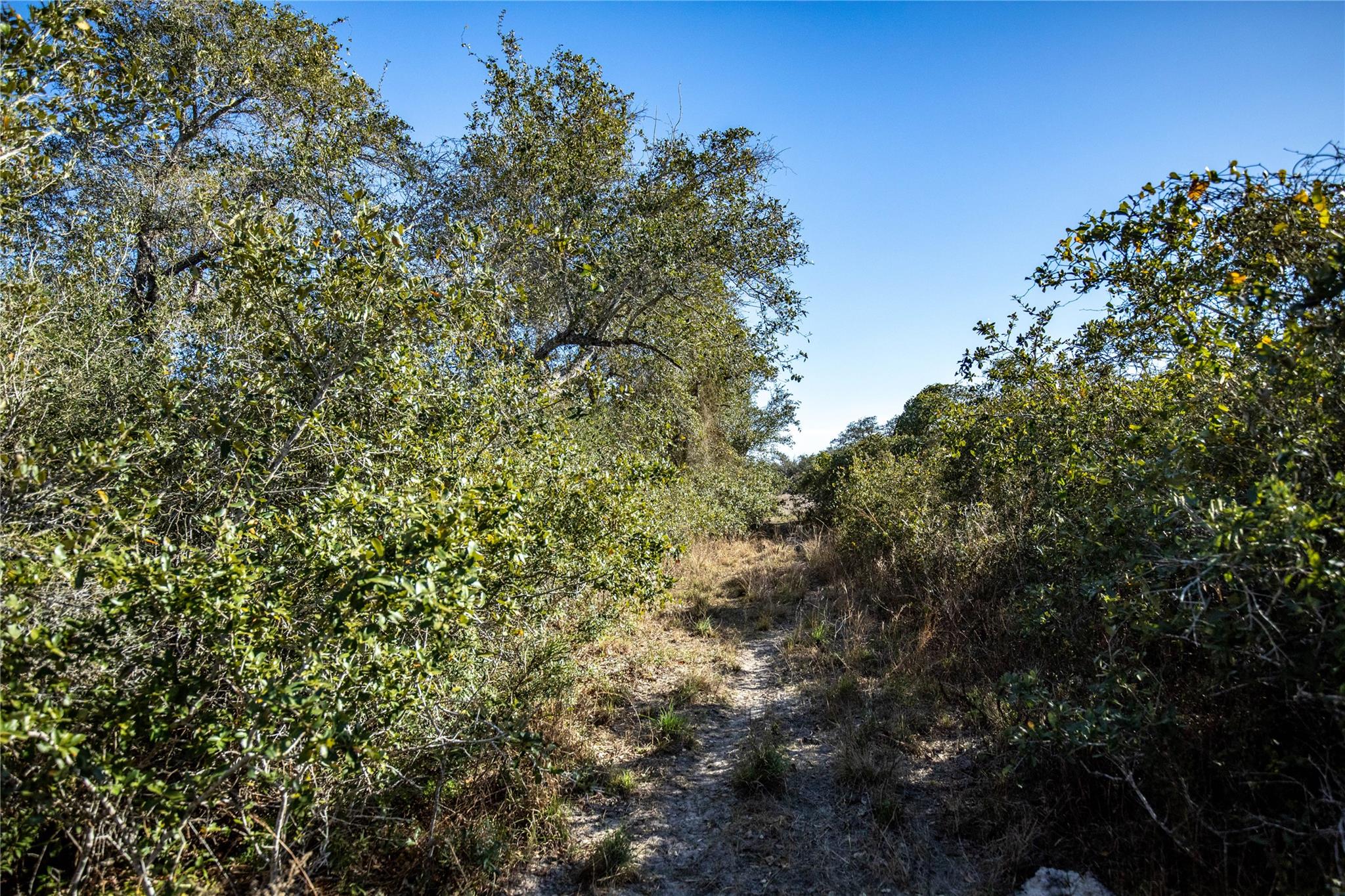 6498 N Hwy 35