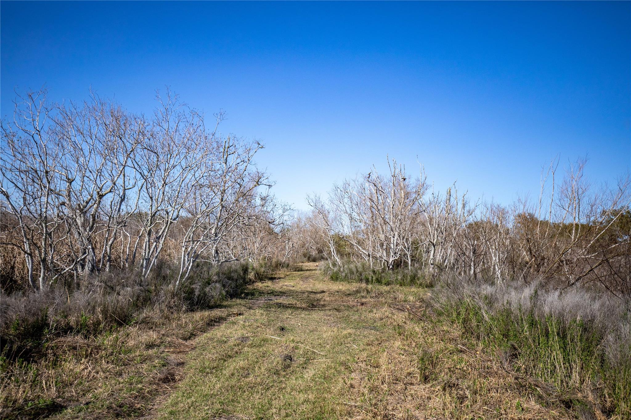 6498 N Hwy 35