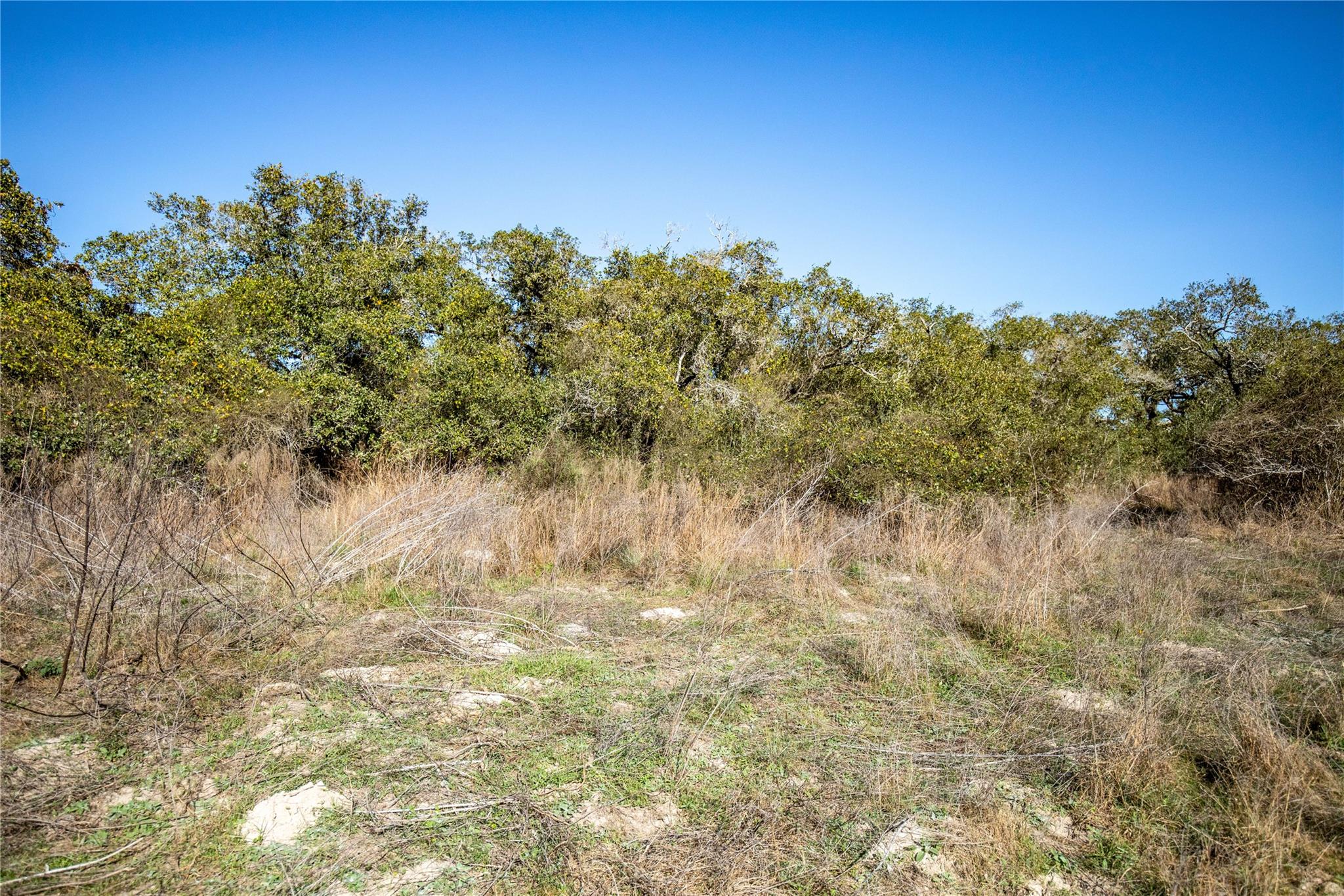 6498 N Hwy 35