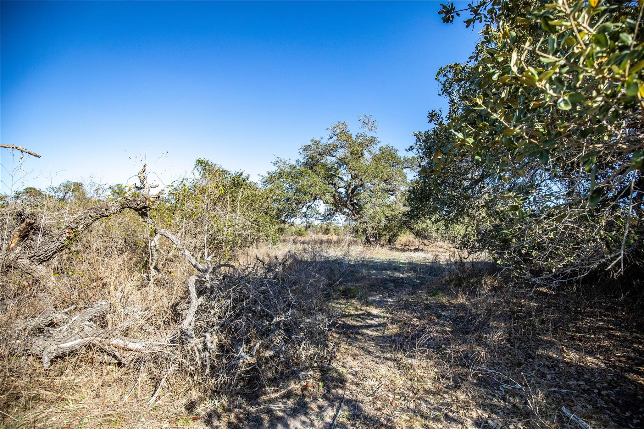 6498 N Hwy 35
