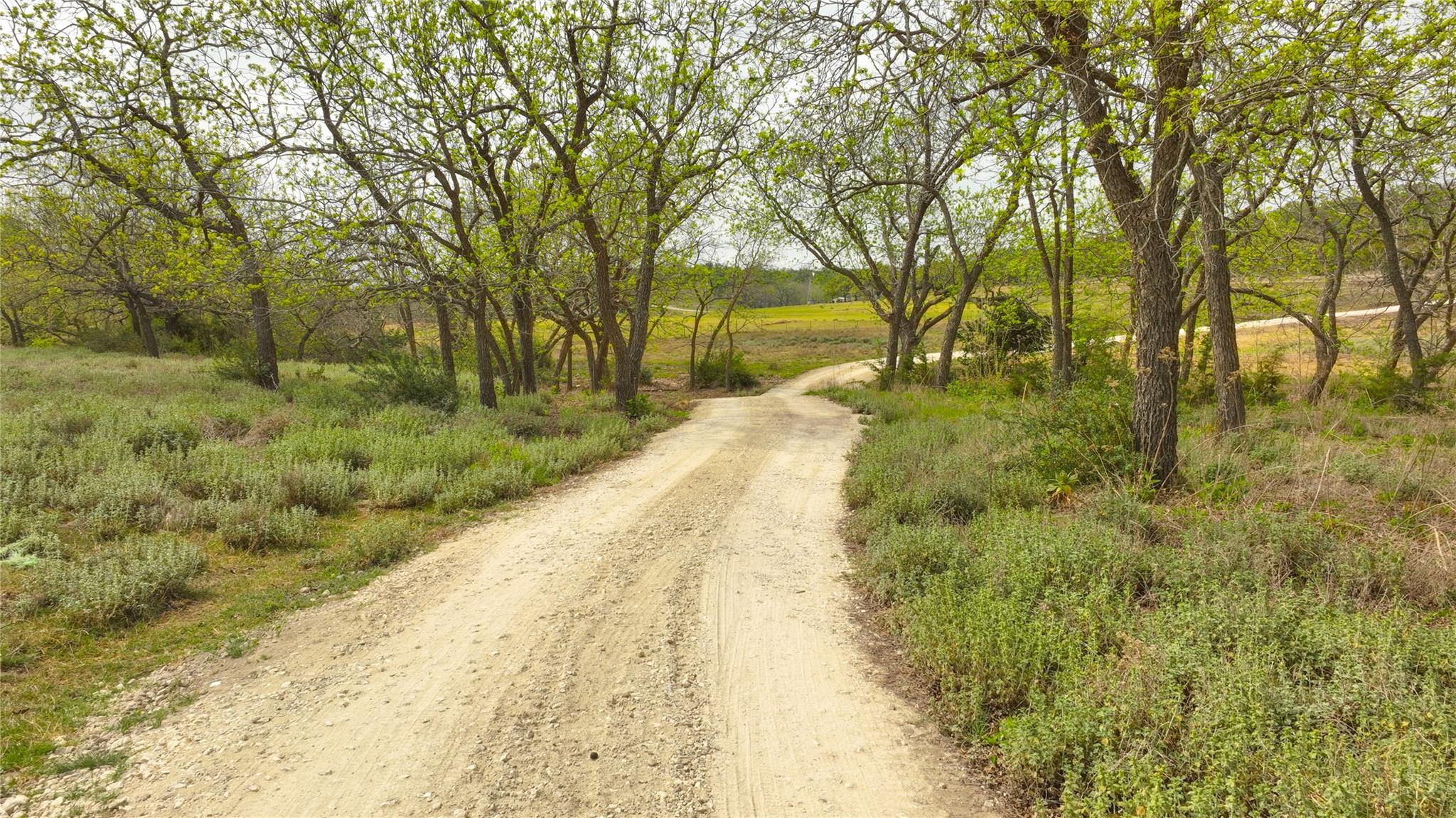 6980 Doss Spring Creek RD