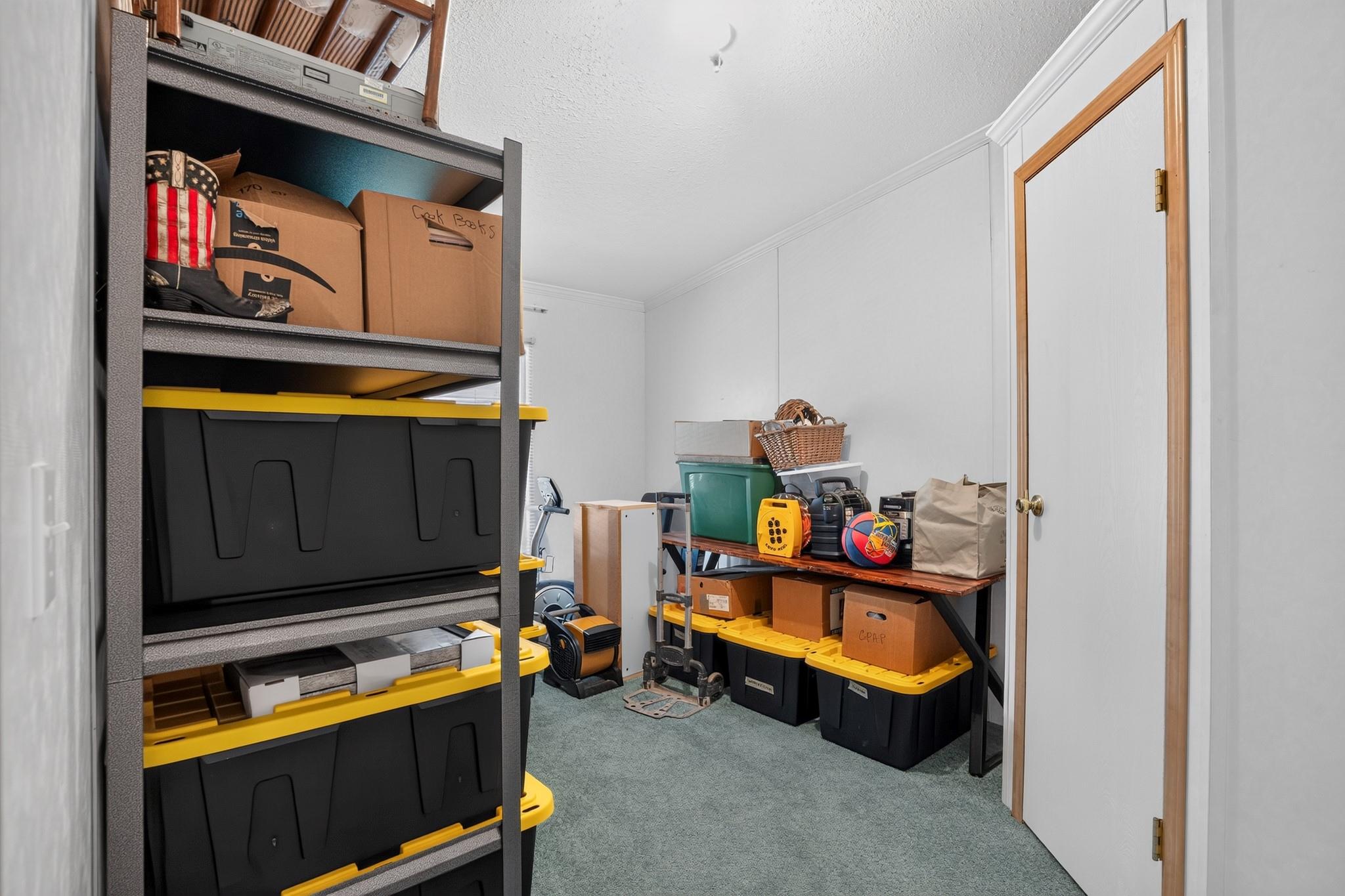113 Butternut
