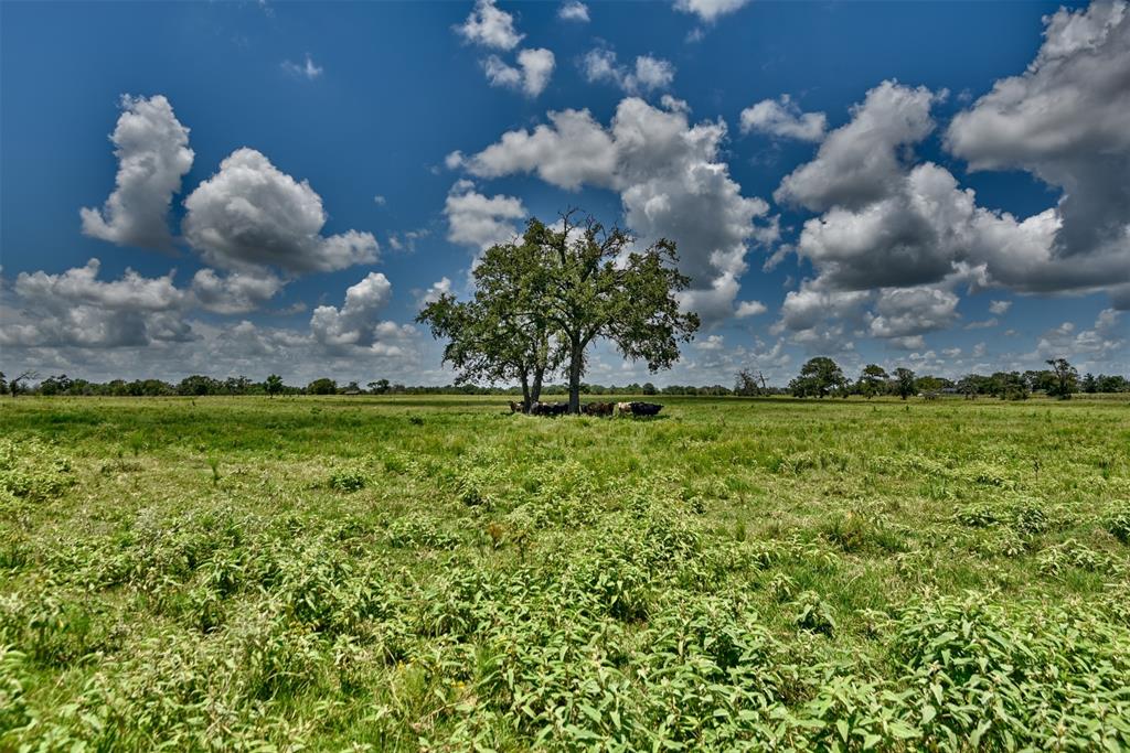 32634 Fm 1736 Road