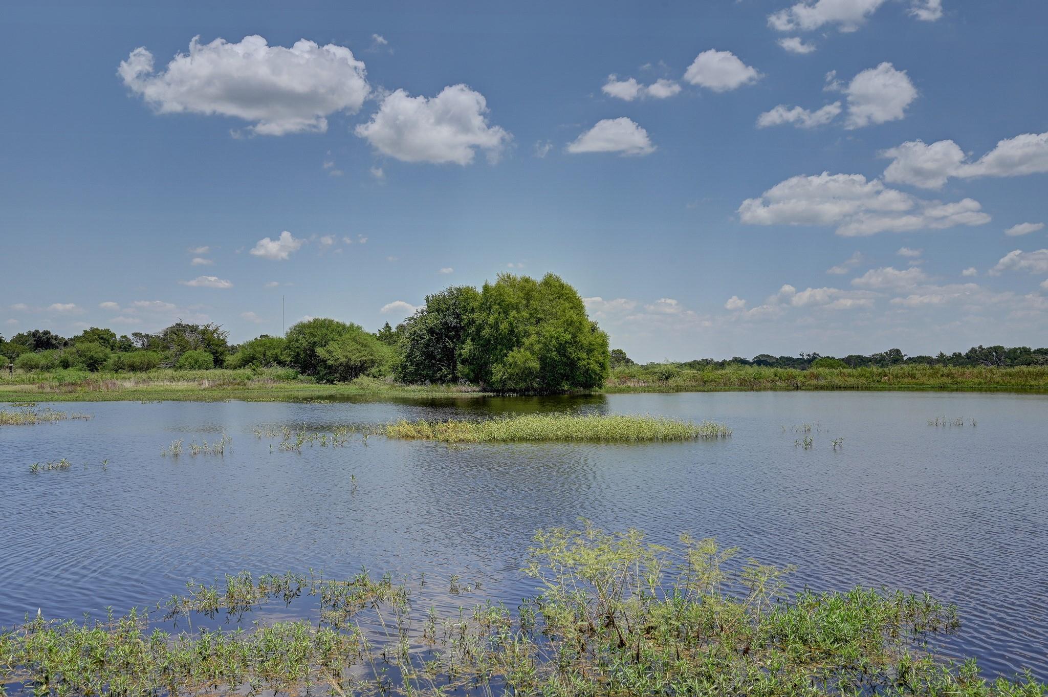 1231 County Road 131